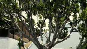 Las mejoras han reducido el tiempo de procesamiento de los pasaportes o una matrícula consular a una hora o poco más.