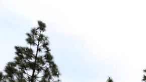 Algunos atribuyen la baja de aspirantes a condcutores debido a los altos costos de las clases y las dificultades de la industria.