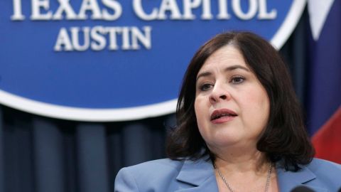 La senadora estatal demócrata, Leticia Van De Putte, se está postulando para vicegobernadora de Texas.