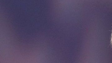 El congresista republicano Paul Broun, dijo en una oportunidad que los “inmigrantes indocumentados son delincuentes y deben ser tratados como tal”.