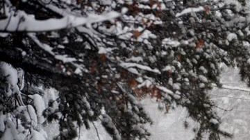 Se pronostica que las bajas temperaturas en Denver, por ejemplo, caerán por debajo de 0 Fahrenheit hasta el viernes.