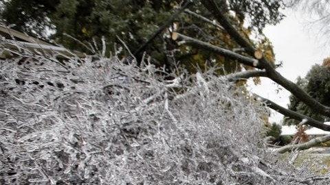 Los habitantes de la ciudad de Richardson también sufrieron los efectos del fenómeno climatológico.