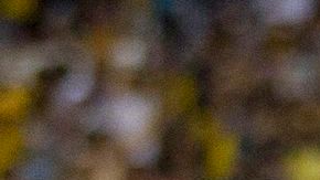 IM_20131208_DEPORTES0901_131209394