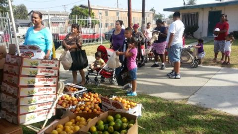 Su labor ha traspasado fronteras, ya que cuentan con un banco de comida en Honduras y están por abrir uno en Nayarit, México.