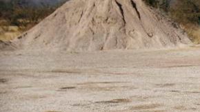 Informes revelaron que el abuso de migrantes es un "problema sistémico" de la Patrulla Fronteriza.