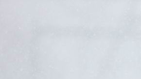 Las fuerte nevada que cae en Washington está complicando la movilización de miles de personas que intentan llegar a sus lugares de trabajo.