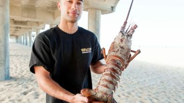 Joseph Alí, de 27 años y residente de Huntington Beach, California, muestra una langosta de 8.16 kilos (18 libras) que él atrapó con las manos mientras hacía buceo sin tanques cerca del muelle la noche del lunes 9 de diciembre de 2013.