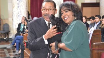 El presidente del Concejo de LA, Herb Wesson Jr., ha llevado a cientos de perros callejeros a las Juntas del Concilio.