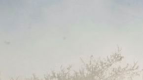 La Patrulla Fronteriza afirma que la mayoría de las personas muertas es el resultado de que a los agentes les dispararon primero.