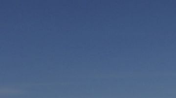 La investigación fue realizada por la Universidad Nacional de Australia.