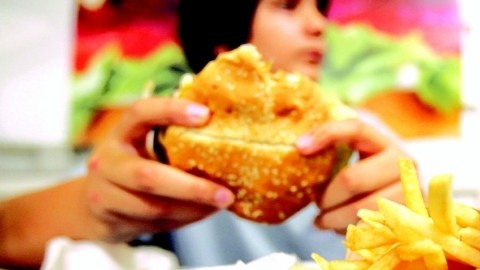 Los alimentos con alto contenido de grasas puede ser perjudicial para la memoria.