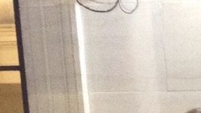 Lube Villarroel (centro), es una de las jóvenes que forma parte de una demanda colectiva contra Virginia.