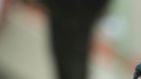 Nicolás Maduro, es ahora presidente de Venezuela.