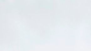 Reid permanece bajo observación aunque los resultados de los exámenes no revelaron nada malo, según sus colaboradores.