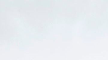 Reid permanece bajo observación aunque los resultados de los exámenes no revelaron nada malo, según sus colaboradores.