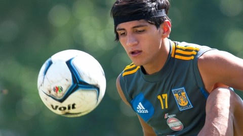 Alan Pulido solo se enfoca en el cuadro del 'Tuca' Ferretti.