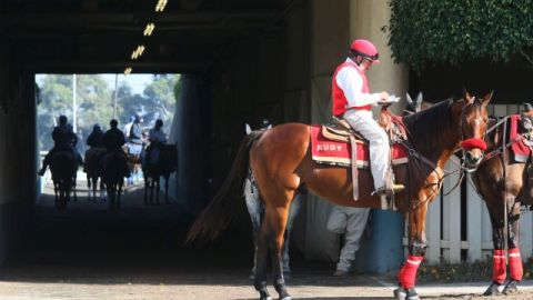 “Me siento triste y nostálgico, pero nada se puede hacer” expresó el jockey Camacho.