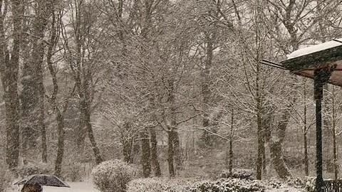 Disfrute la temporada con ropa abrigadora.