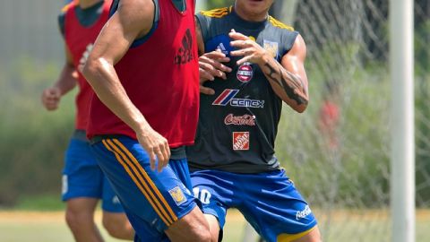 Juninho (centro) considera oportuno el refuerzo de 'Guty' Estrada para mejorar la retaguardia de los Felinos del Norte.