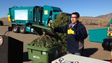 El concejal de Los Ángeles,  Felipe Fuentes, muestra algunas de  las opciones para que los residentes puedan  reciclar el árbol de Navidad.