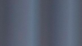 La mandataria no puede aspirar a un tercer mandato consecutivo, porque está prohibido por la Constitución.