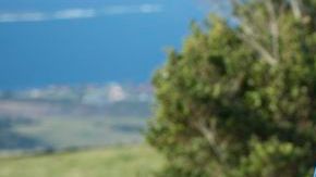 La segunda generación del Z4 se construye en la fábrica de BMW en Regensburg, Alemania.