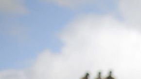 Un niño y cientos de personas observan el funeral de Nelson Mandela en una exhibición pública en su villa de Qunu, Sudáfrica.