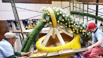 Voluntarios ultiman detalles de las carrozas para el Desfile de las Rosas.