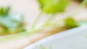 Cilantro Thai grilled chicken.