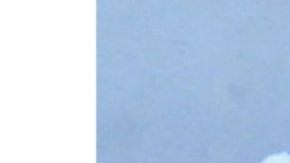 Miley se rapó aún más los laterales.