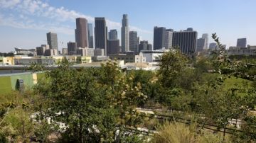 La medida busca contribuir a la reducción en un 15% del uso de energía en la ciudad para 2020 que Los Ángeles se ha propuesto como meta de sostenibilidad.