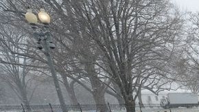 La lluvia no impidió a decenas de manifestantes expresarse ayer en contra del aborto frente a la Casa Blanca.