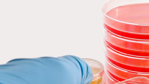 Investigación de células madre.