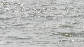 La Guardia Costera estadounidense continúo la búsqueda de posibles supervivientes.