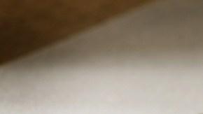 Un poder o un testamento podrá ayudar a cumplir lo que   usted quisiera luego de su fallecimiento, designando una persona para que ejecute esas decisiones.