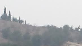 Culbreath fue hallada culpable de DUI en 2010. (ARchivo)