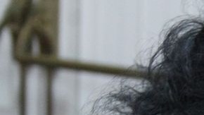 India lloró, pero no de tristeza.