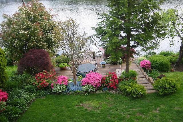 8 tips de paisajismo y decoración de jardines - La Opinión