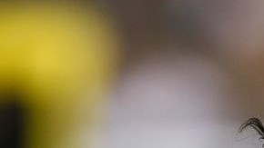 Mark Sánchez se quita definitivamente el casco de los Jets de Nueva York, con quienes tuvo éxito al principio.