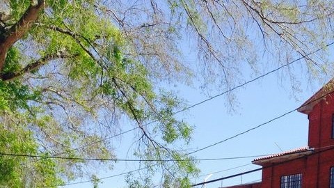 Unidad de las Paredes en la Prisión de Huntsville, donde se realizan ejecuciones.
