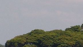 La tragedia ocurrió en el río Yojoa, al norte del país.