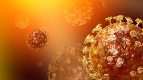 Los coronavirus son una familia viral que puede causar enfermedades como resfriado común hasta el Síndrome Respiratorio Agudo Severo,  SARSs