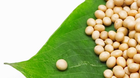 La soya proporciona muchos beneficios para la salud y para la piel.