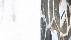 Los rumores apuntan a que Casper no sabe que Sofie es un hombre.