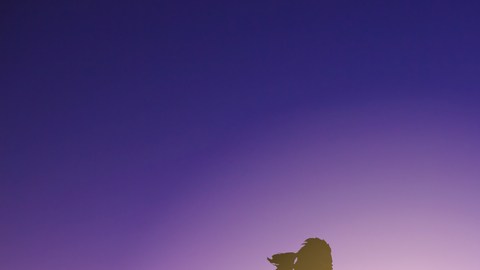 Entre los beneficios del ejercicio se encuentra la oxigenación de la sangre.