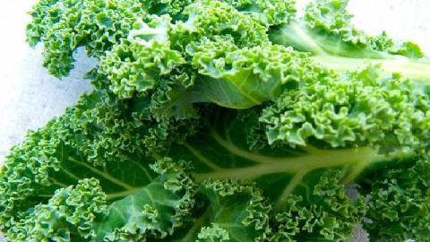 El kale es una excelente fuente de vitaminas y proteínas.