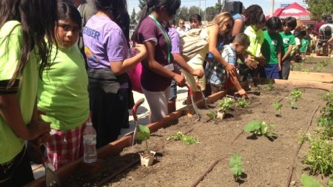 Los niños tuvieron la oportunidad de crear un jardín comunitario para obtener hortalizas y frutas para su familia.