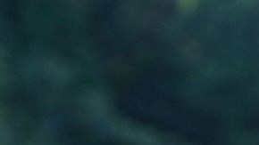 Robin Williams se suicidó el pasado domingo en su casa del condado de Tiburón, California.