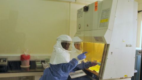 La comunidad científica ha seguido los rastros de la epidemia de ébola en África.