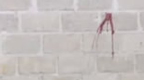 Escena de la bodega donde 22 personas fueron ejecutadas en Tlatlaya, Estado de México, el pasado 30 de junio.